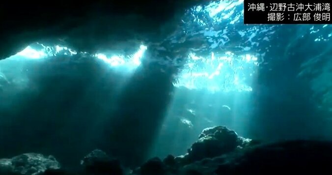 水中探検家に聞く「沖縄の海の神秘」　サンゴの死滅、辺野古埋め立てに危惧も 4枚目