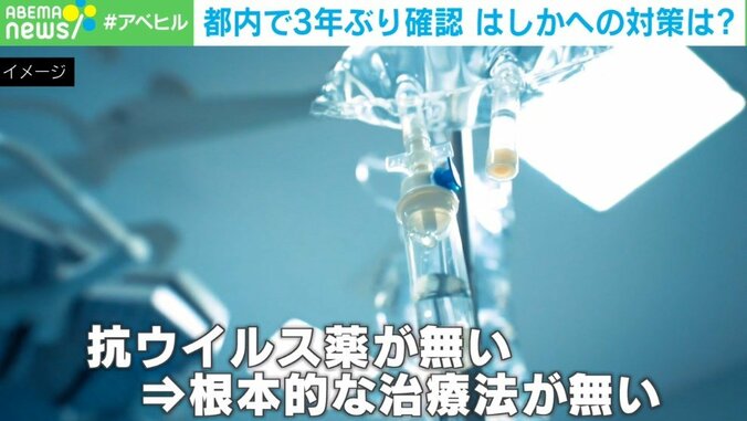 はしか予防接種「2回目は忘れがち」 打ったかわからない人は？ 医師に聞く 2枚目