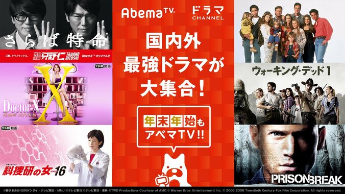 『ウォーキング・デッド』 国内初の無料放送など、国内外最強ドラマがAbemaTVに大集合！ 年末年始でイッキ見 1枚目