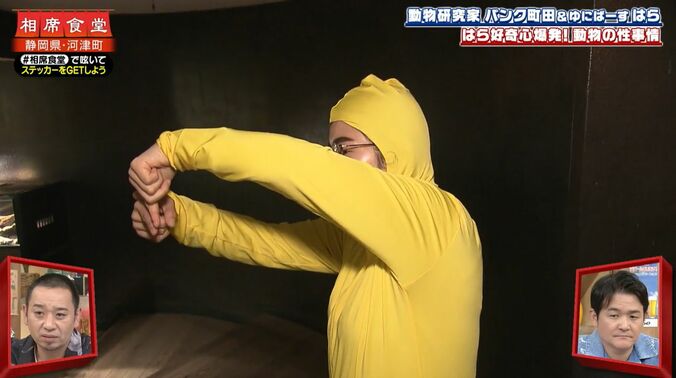 【写真・画像】カメのリアルすぎる交尾に千鳥が衝撃「大悟やん」　2枚目