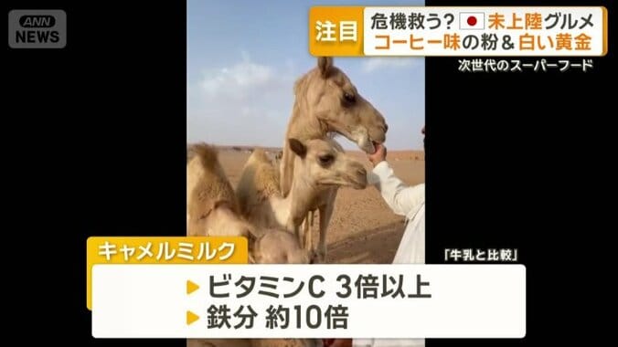 キャメルミルク