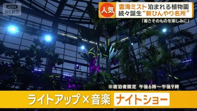 ライトアップ×音楽のナイトショー