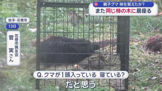 岩手県花巻市　住宅の目の前の畑