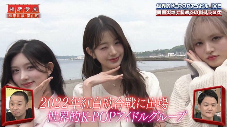 【写真・画像】ぱーてぃーちゃん・すがちゃん最高No.1、セイウチの女の子とキスをするもハプニング!? おもしろロケに千鳥が爆笑　3枚目