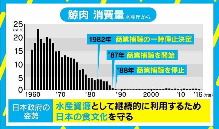 「海の幸で豊かになった国の主導権を渡さない」鯨肉消費量減少でなぜ? 日本がIWCを離脱した本当の理由