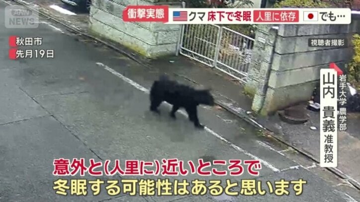 「人里に近い所で冬眠する可能性がある」