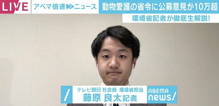 イヌやネコをめぐり何が起きている？販売業者への“数値規制”で行き場を失う懸念も