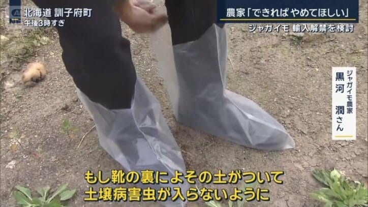 畑を守るための袋