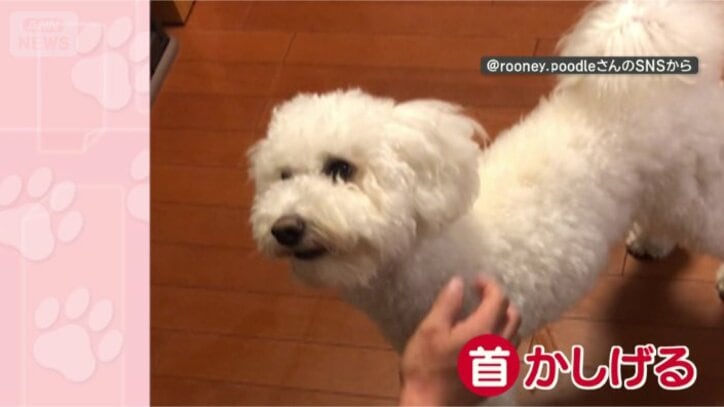 褒めてくれてありがとう