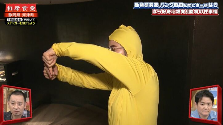 【写真・画像】カメのリアルすぎる交尾に千鳥が衝撃「大悟やん」　2枚目