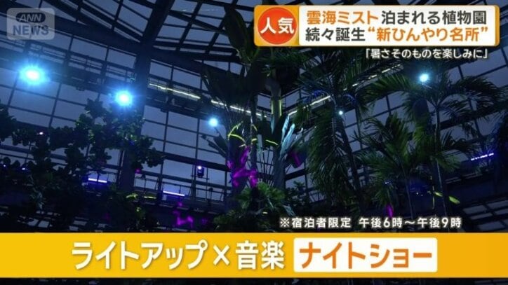 ライトアップ×音楽のナイトショー