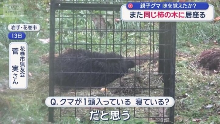 岩手県花巻市　住宅の目の前の畑