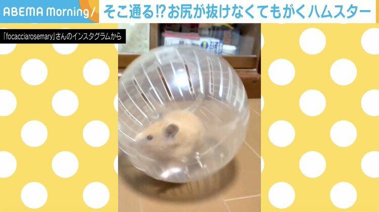 写真・画像】マグカップの取っ手からお尻が抜けない！悶絶必至の