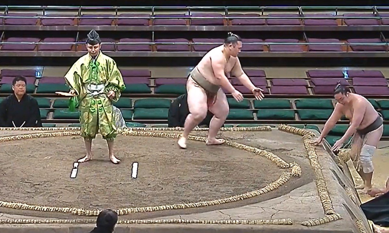 相撲 締め込み 緑 まわし 下がり 大相撲 本場所 レア 付けろ