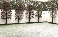 薬丸裕英『えっ！！！』