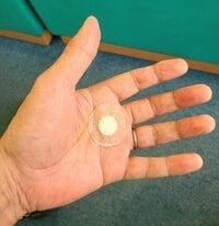 モト冬樹『一週間たったので』