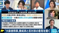 "大麻使用罪"賛成派と反対派の意見を聞く