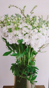 細川直美『お悔やみ』