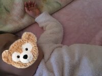 紺野あさ美『断乳 (完母→完ミの切り替え)』