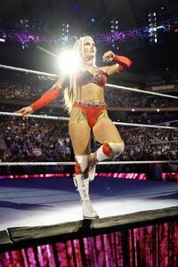 【映像】“ほぼ”スケスケの大胆衣装に騒然