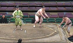 「あ、すみません」勝った力士も驚き “超レア”な決まり手が生んだ珍事