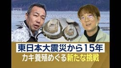 「ヒラガキ」が希望の光に　環境変化でカキ大量死…後継者不足で苦境の岩手・山田町