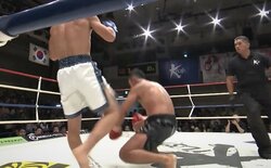 タオル投入の“飛びヒザ”衝撃KO 「マンガみたい」「あの角度は見えない」ファン驚嘆