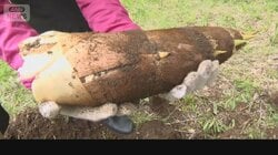 タケノコが豊作　気温上昇、雨降って急成長　先週比で半額のスーパーも