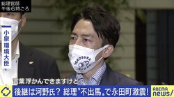 小泉進次郎氏が涙も…菅総理は正当な評価を受けていないのか？ 側近「後悔先に立たず」