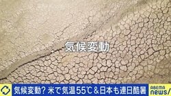 ノーベル賞受賞物理学者「気候変動は存在せず」が物議 CO2には良い面も？ 専門家「自然変動でも大雨は増減」
