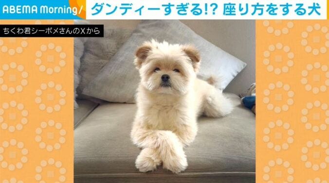 ちくわくん