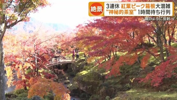 紅葉が織りなす絶景