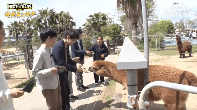 【写真・画像】　2枚目