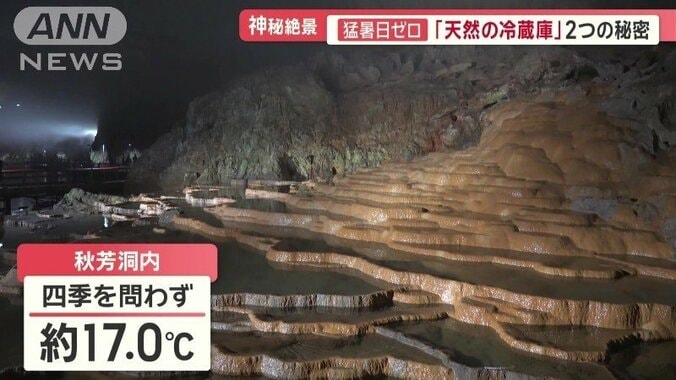 洞窟内の温度は、四季を問わずおよそ17℃