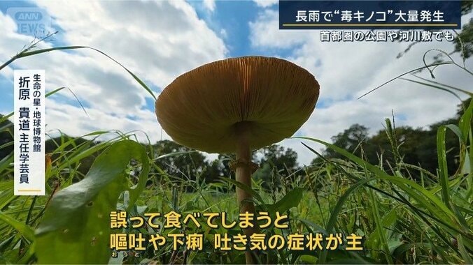 折原主任学芸員
