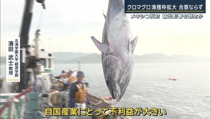 北海学園大学経済学部　濱田武士教授
