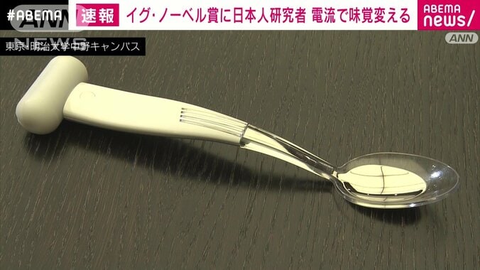 【日本人受賞まとめ】イグ・ノーベル賞 “正しい「鼻のかみ方」”２０年連続日本人受賞…過去には「バナナの皮の滑りやすさ」「股の間から物を逆さに見ると…」「キスでアレルギー反応が…」などの研究 6枚目