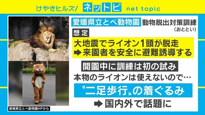愛媛・とべ動物園の動物脱出対策訓練が国内外で話題に「奥で見てるリアルライオンの顔！」 1枚目