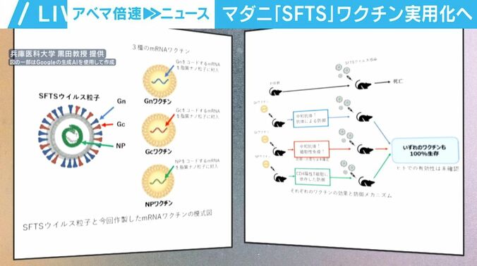 兵庫医科大学 黒田悦史教授 提供資料