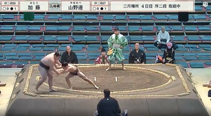 「細つよ」16歳170cmの小兵力士が驚異の押し出し　「すごい」「やっぱりセンスある」館内どよめき 2枚目