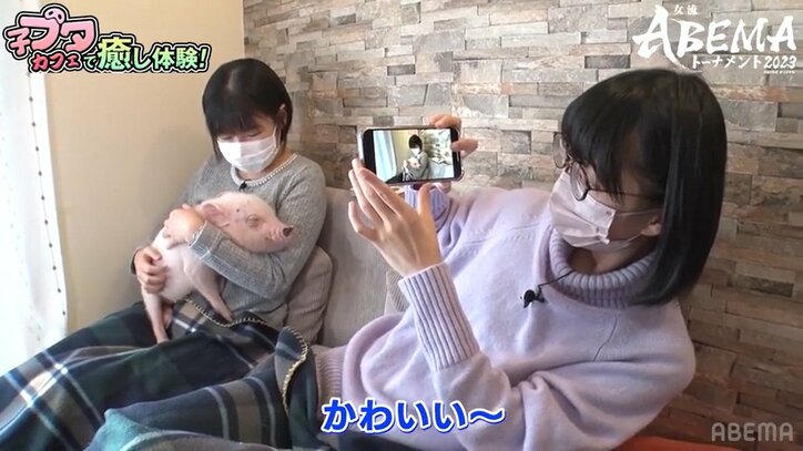 多忙な女流棋士の“癒し”は「子ブタ」に「お酒&ゲーム」!?伊藤沙恵女流三段&香川愛生女流四段が人気スポットで大はしゃぎ/将棋・女流ABEMAトーナメント