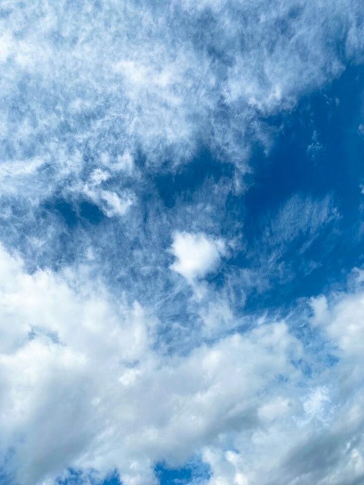  堀ちえみ、舌に気になるできものを発見「大丈夫だと思うけれど…」 