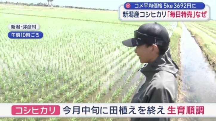 順調に育っているという