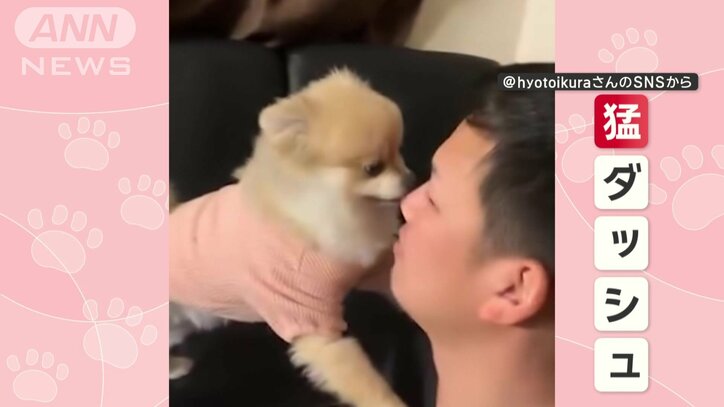 顔の前まで猛ダッシュ!