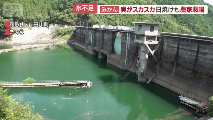 貯水率が17％まで低下している二川ダム