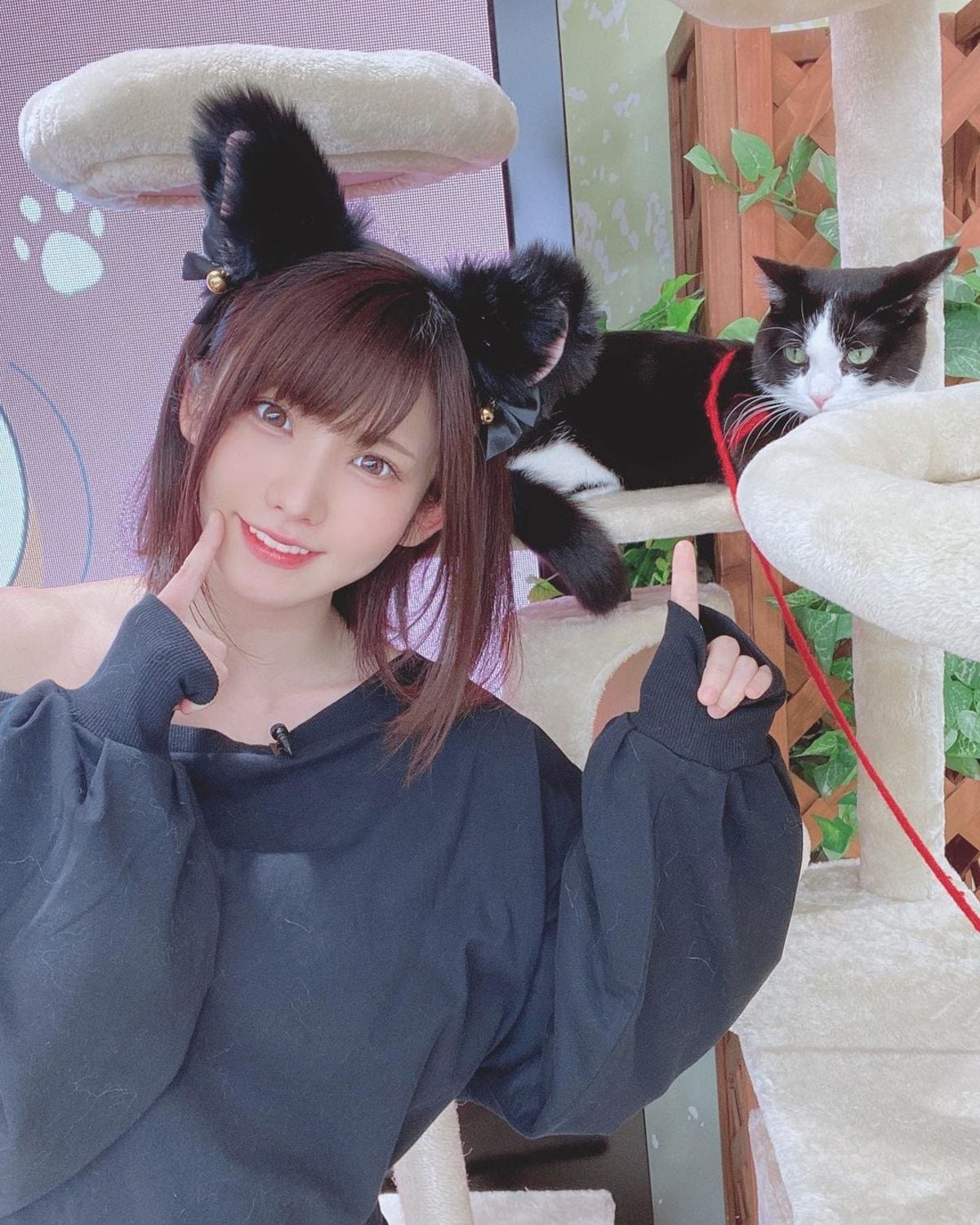 可愛すぎる 萌え萌えきゅん えなこ キュートな猫耳ショットに反響続々 ニュース Abema Times 可愛すぎる 萌え萌えきゅん えなこ キュートな猫耳ショットに反響続々 ニュース Abema Times