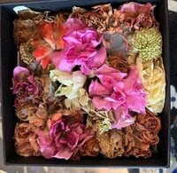 デヴィ夫人『母の日の 素敵な ギフト♬』