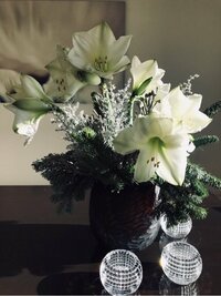 稲垣吾郎『新しい目』