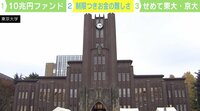 【映像】効果ある? 「10兆円ファンド」の仕組み(図あり)※冒頭〜