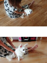 高橋真麻『みんなでのんびり』